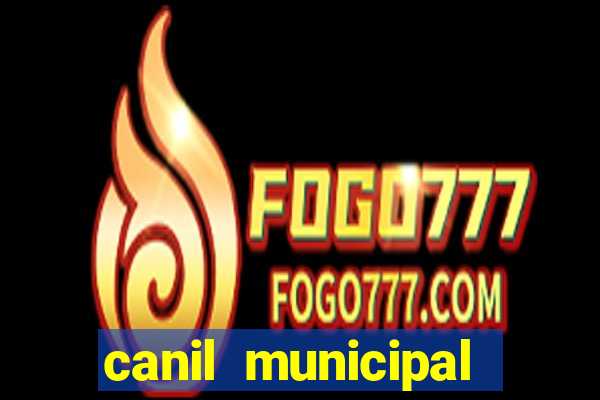 canil municipal porto alegre